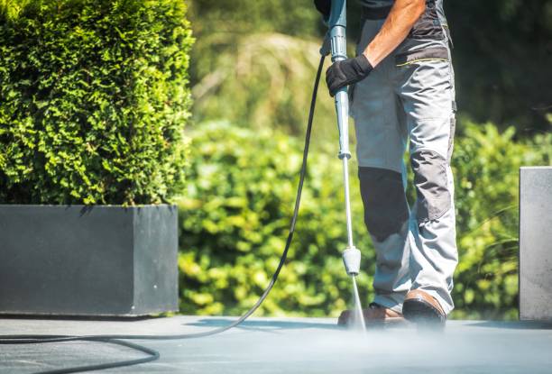 Best Fence Cleaning  in Mendota, IL