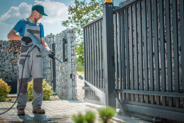 Best Gutter Cleaning  in Mendota, IL