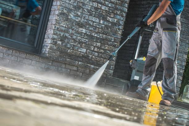 Best Dumpster Area Cleaning  in Mendota, IL