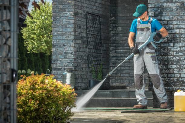 Best Graffiti Removal  in Mendota, IL